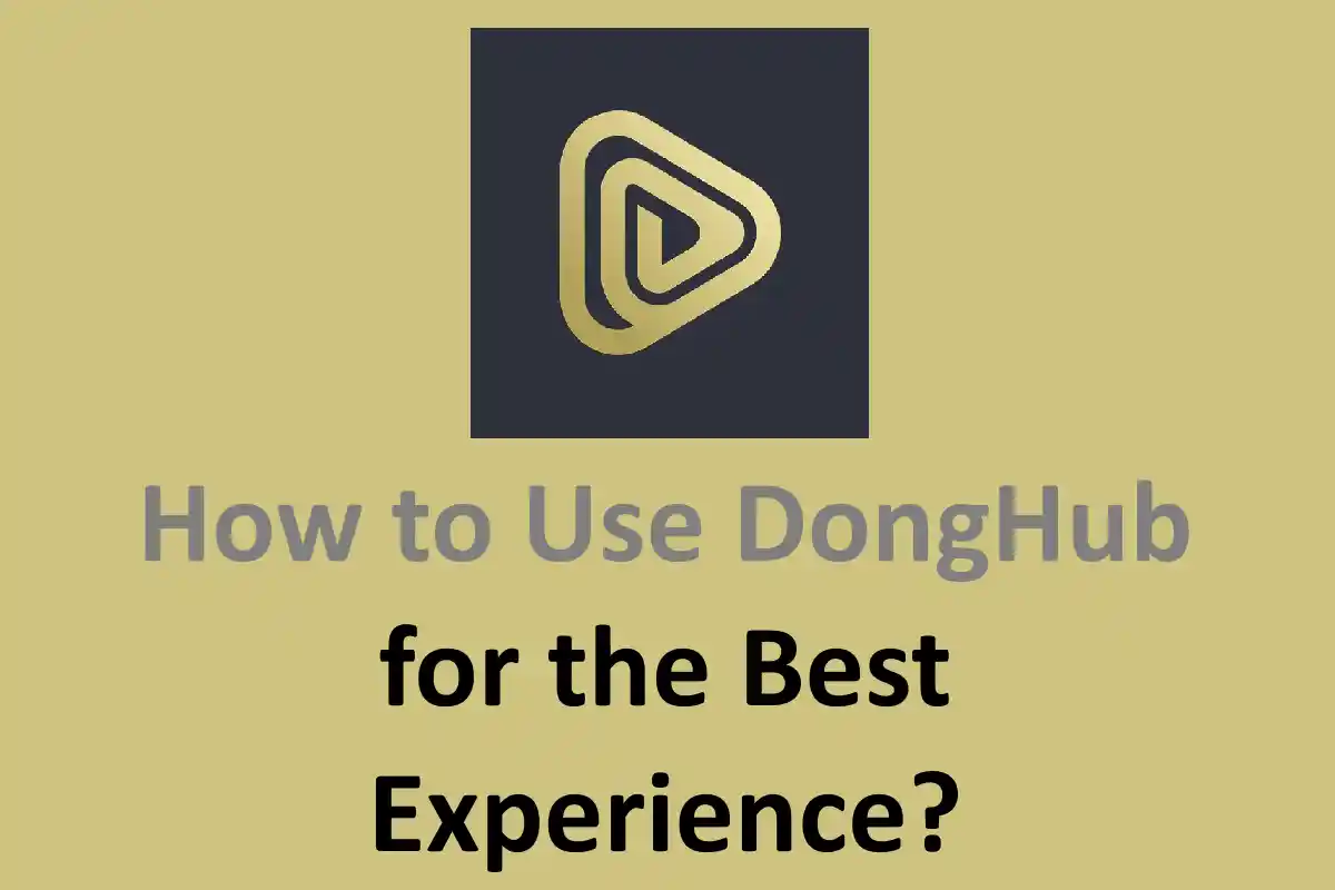 How to Use DongHub for the Best Experience?